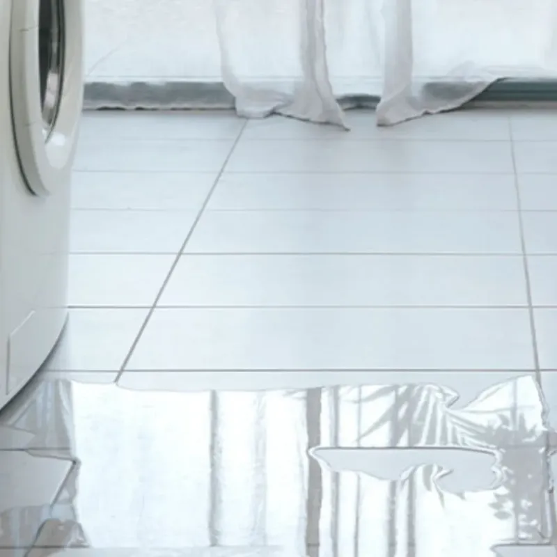 Appliance Leak Cleanup in Wellington, CO